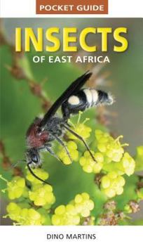 Paperback Pocket Guide: Insects of South Africa Book