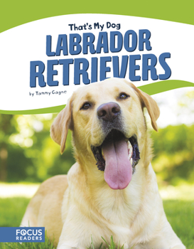 Library Binding Labrador Retrievers Book