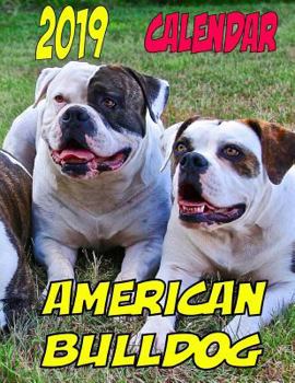 2019 Calendar American Bulldog: Dog weekly calendar, personal contacts list, password log, notes and to do list