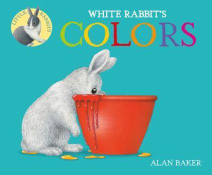 Board book White Rabbit's Colors Book