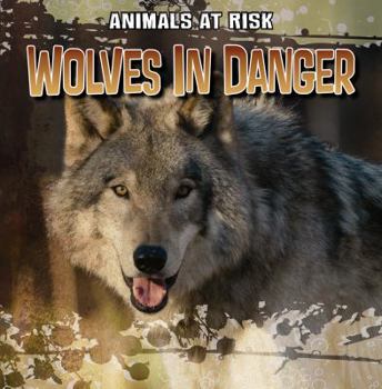Paperback Wolves in Danger Book