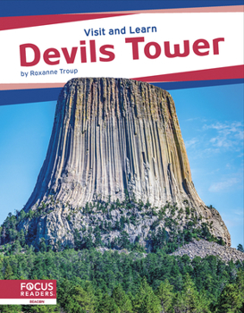 Paperback Devils Tower Book