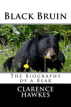 Paperback Black Bruin Book