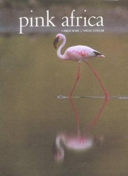 Hardcover Pink Africa Book