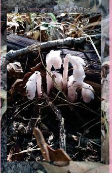 Paperback Your Notebook! Indian Pipes Book