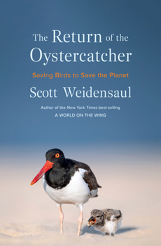 Return of the Oystercatcher: Saving Birds to Save the Planet