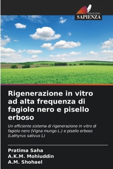 Rigenerazione in vitro ad alta frequenza di fagiolo nero e pisello erboso: Un efficiente sistema di rigenerazione in vitro di fagiolo nero (Vigna ... erboso (Lathyrus sativus L) (Italian Edition)