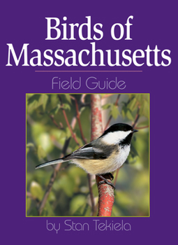 Paperback Birds of Massachusetts Field Guide Book