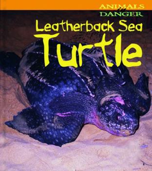 Paperback Leatherback Sea Turtle Book