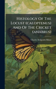 Histology Of The Locust (caloptenus) And Of The Cricket (anabrus).