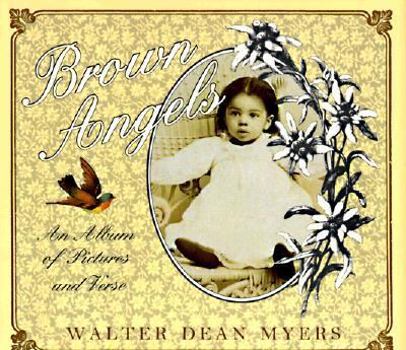 Hardcover Brown Angels: An Album of Pictures and Verse Book