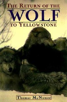 Paperback The Return of the Wolf to Yellowstone Book