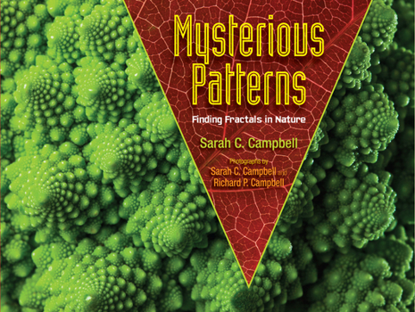 Hardcover Mysterious Patterns: Finding Fractals in Nature Book