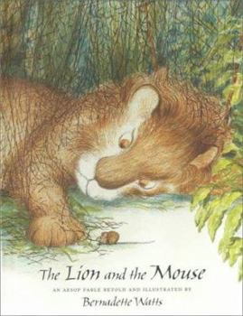 Library Binding The Lion and the Mouse Book