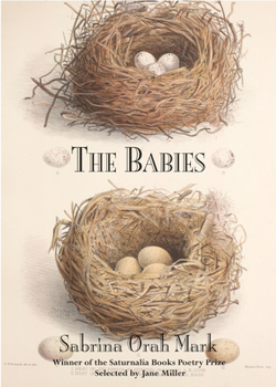 Paperback The Babies Book