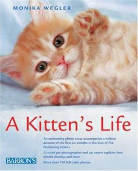 Hardcover A Kitten's Life Book