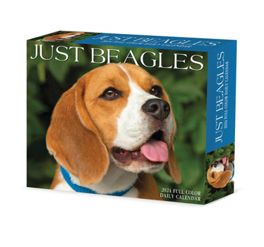 Product Bundle Beagles 2024 6.2 X 5.4 Box Calendar Book