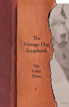 Paperback The Vintage Dog Scrapbook - The Great Dane Book