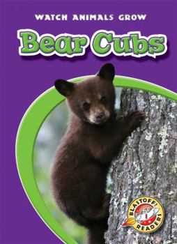 Bear Cubs (Paperback) - Book  of the Watch Animals Grow