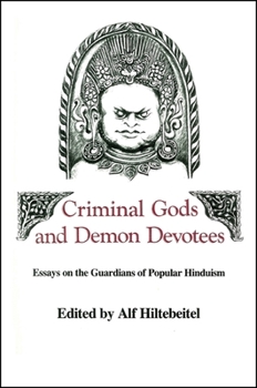 Hardcover Criminal Gods and Demon Devotees: Essays on the Guardians of Popular Hinduism Book