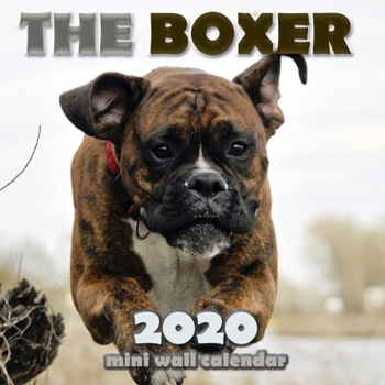 The Boxer 2020  Mini Wall Calendar