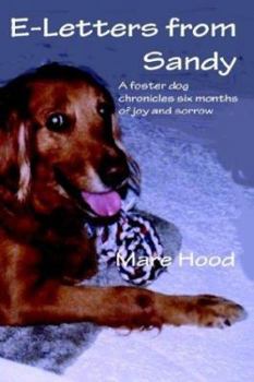 Paperback E-Letters from Sandy Book