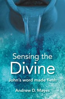 Paperback Sensing The Divine Book