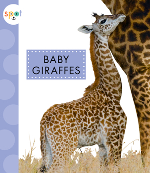 Paperback Baby Giraffes Book
