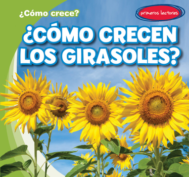 How Do Sunflowers Grow?