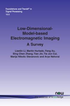 Paperback Low-Dimensional-Model-Based Electromagnetic Imaging: A Survey Book