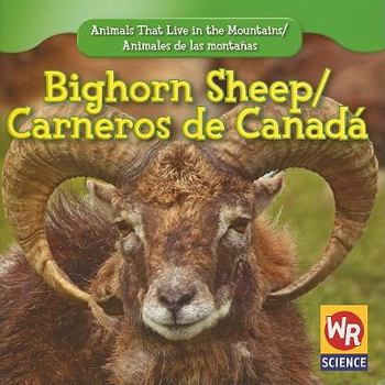 Bighorn Sheep - Book  of the Animals That Live in the Mountains