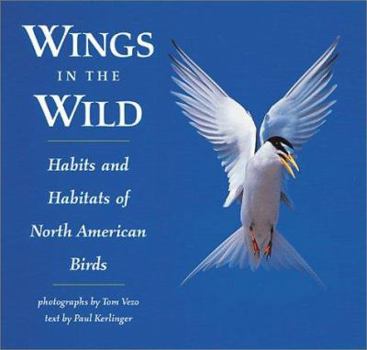 Paperback Wings in the Wild: Habits & Habitats of North American Birds Book