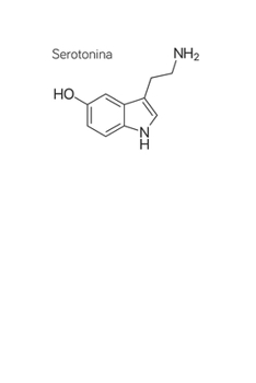 Serotonina: Un Quaderno Discreto Dove Tenere Traccia dei Tuoi Siti Preferiti, Username, Password, Indirizzi Email, Password Wi-Fi, Seriali dei ... e PUK. (Password & Seriali) (Italian Edition)