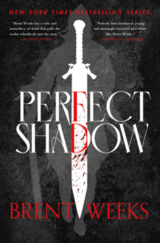 Perfect Shadow - Book #0.5 of the Night Angel