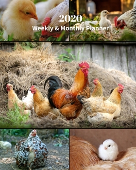 Paperback 2020 Weekly and Monthly Planner: Chicken Collage - Monthly Calendar with U.S./UK/ Canadian/Christian/Jewish/Muslim Holidays- Calendar in Review/Notes Book