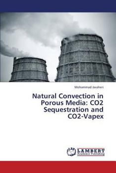 Paperback Natural Convection in Porous Media: Co2 Sequestration and Co2-Vapex Book