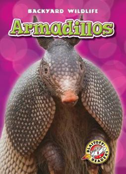 Armadillos - Book  of the Backyard Wildlife