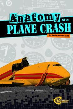 Hardcover Anatomy of a Plane Crash Book