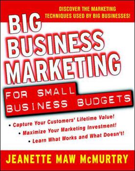 Paperback Big Business Marketing for Small Business Budgets Book