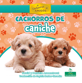 Library Binding Cachorros de Caniche (Poodle Puppies) [Spanish] Book