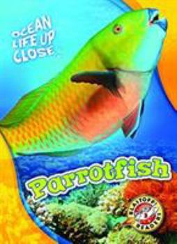 Parrotfish - Book  of the Ocean Life Up Close