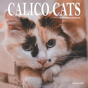 Calico Cats Calendar: 2021 (Cuddly Cats)