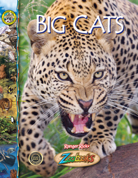 Big Cats