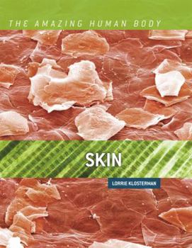 Skin - Book  of the Amazing Human Body