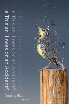 Paperback Is This an Illness or an Accident? Book