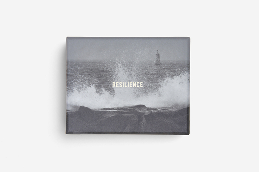 Misc. Resilience Cards: Become More Confident in the Face of Adversity Book