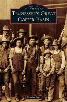 Hardcover Tennessee's Great Copper Basin Book