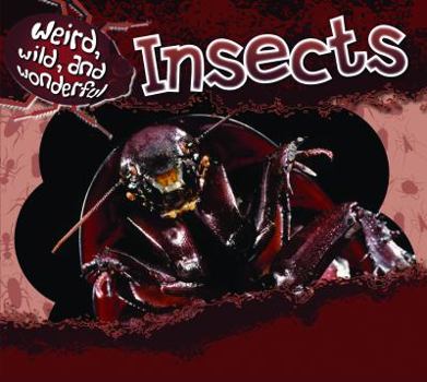 Insects - Book  of the Weird, Wild, and Wonderful