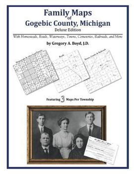 Paperback Family Maps of Gogebic County, Michigan Book