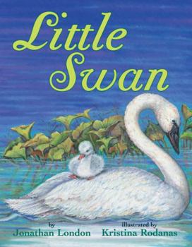 Hardcover Little Swan Book